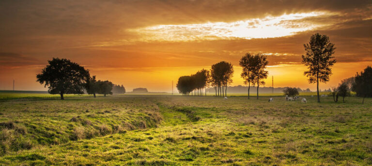 Czym są ZIT-y i RIT-y?