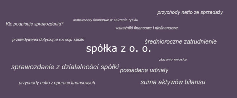 Spółka z o.o. sprawozdanie