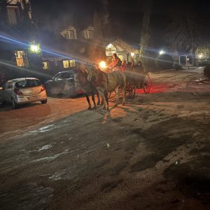 IMG_7771